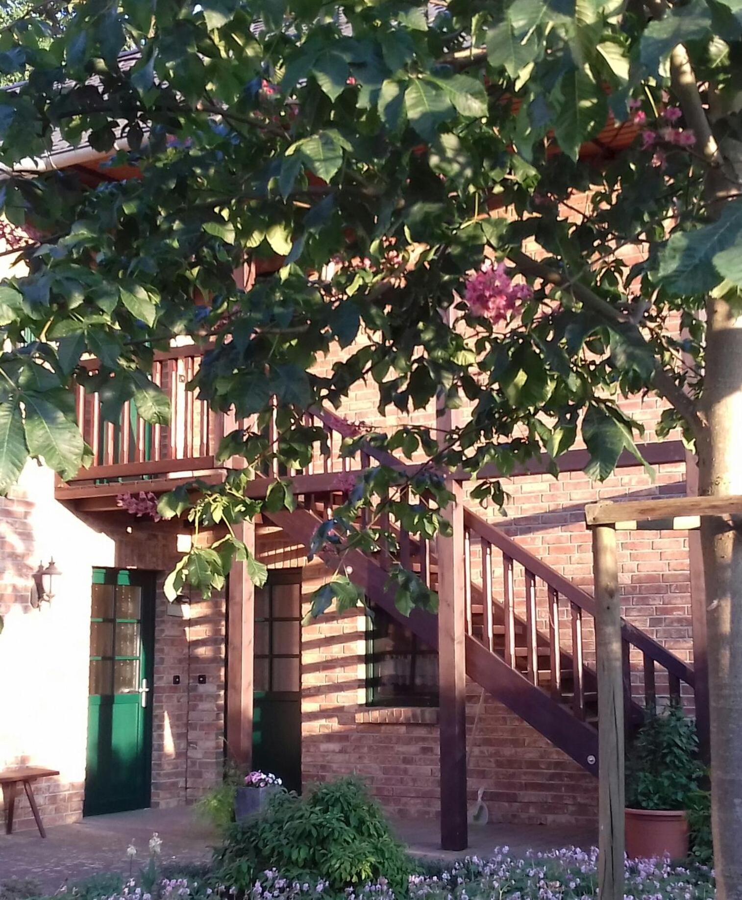 Kastanienhof Burg (Spreewald) Exterior foto